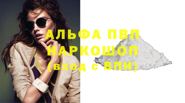 стафф Карпинск