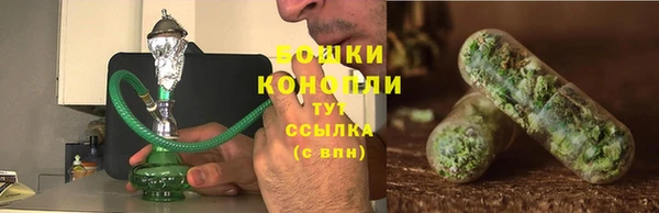 стафф Карпинск