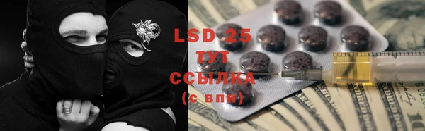 стафф Карпинск