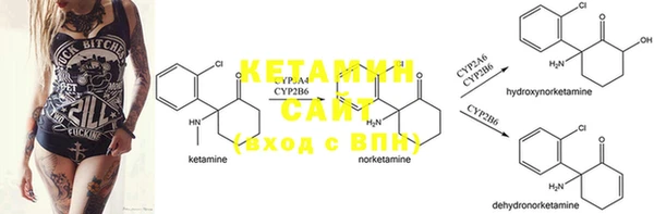 стафф Карпинск