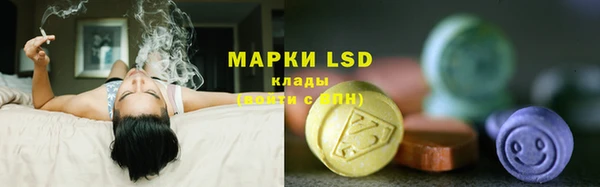стафф Карпинск