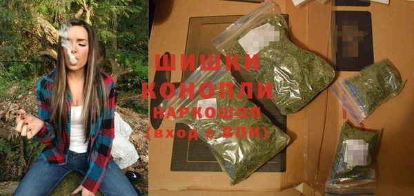 стафф Карпинск